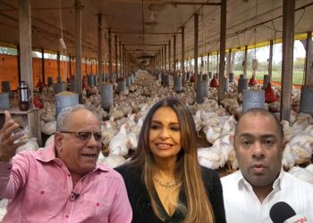 Pequeños y medianos productores pollos denuncia trama para quebrarlos