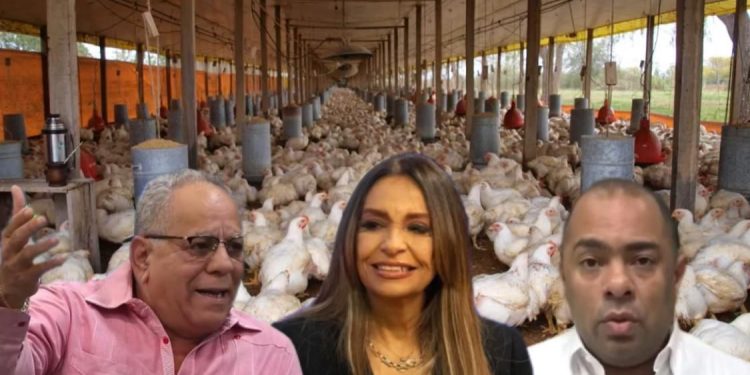 Pequeños y medianos productores pollos denuncia trama para quebrarlos