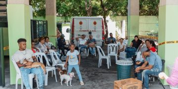 Alcaldía del Distrito Nacional realiza jornada de bienestar para perros y gatos