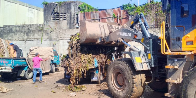 Alcaldía del Distrito Nacional interviene mercado de Villas Agrícolas con gran operativo de limpieza