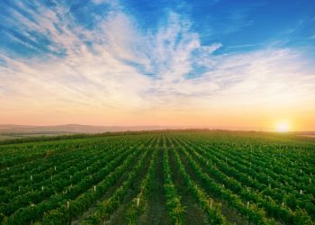 Buen tiempo con temperaturas agradables y escasas las lluvias este fin de año