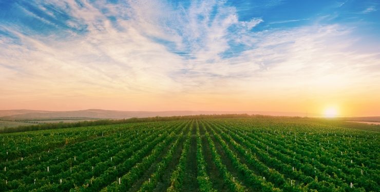 Buen tiempo con temperaturas agradables y escasas las lluvias este fin de año