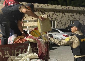 CESFronT y DNCD ocupan más de 291 libras de marihuana dentro de pacas de ropas usadas en Pedernales