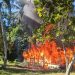Ciudadano solicita ayuda para reconstruir la vivienda de su suegra afectada por un incendio en La Victoria