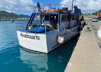 CODOPESCA y Nature Foundation Sint Maarten lideran operación internacional contra el tráfico de anguilas