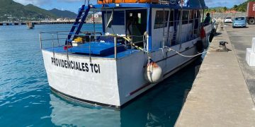 CODOPESCA y Nature Foundation Sint Maarten lideran operación internacional contra el tráfico de anguilas