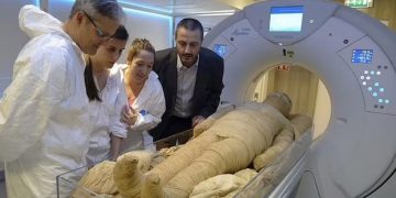 Descubren en el ADN de una momia egipcia una antigua enfermedad que acabó con 50 millones de personas