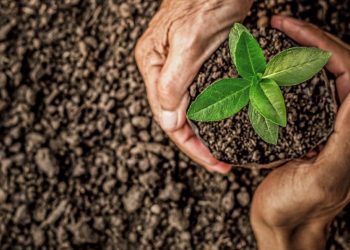 Día Mundial del Suelo