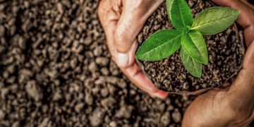 Día Mundial del Suelo