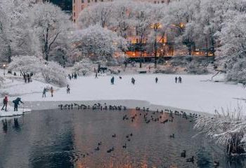 Navidad blanca en Nueva York por primera vez en quince años