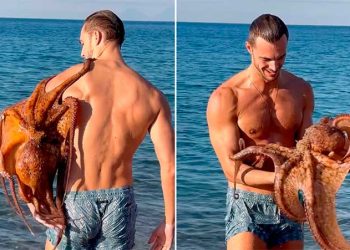 Pulpo sorprende a modelo italiano con un tierno abrazo marino