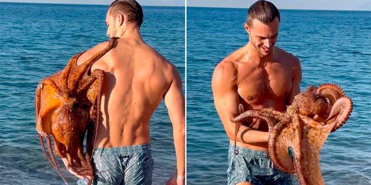 Pulpo sorprende a modelo italiano con un tierno abrazo marino