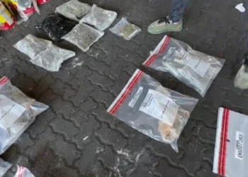 DNCD ocupa 95 paquetes de marihuana en puerto de Haina