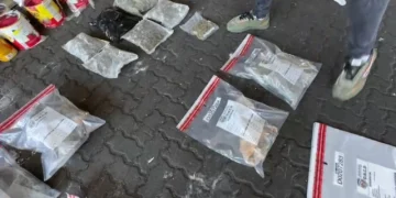 DNCD ocupa 95 paquetes de marihuana en puerto de Haina