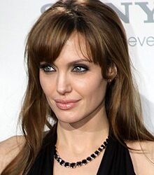 Angelina Jolie refugió en su casa a varios amigos afectados por los incendios en California