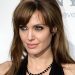 Angelina Jolie refugió en su casa a varios amigos afectados por los incendios en California