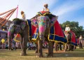 Al menos 23 heridos por el ataque de un elefante durante un festival en el sur de La India
