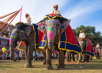 Al menos 23 heridos por el ataque de un elefante durante un festival en el sur de La India