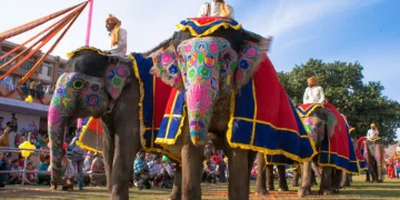 Al menos 23 heridos por el ataque de un elefante durante un festival en el sur de La India