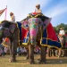 Al menos 23 heridos por el ataque de un elefante durante un festival en el sur de La India