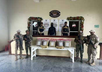 CESFRONT, DNCD y el Ejército decomisan 200 libras de marihuana en Elías Piña