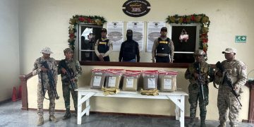 CESFRONT, DNCD y el Ejército decomisan 200 libras de marihuana en Elías Piña