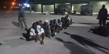 DGM dice desmantela centro organizaba viajes de nacionales haitianos ilegales