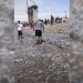 Miles de peces muertos aparecen en una playa de Chile
