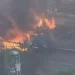 Tragedia en Brasil: dos muertos al estrellarse una avioneta contra un colectivo en una avenida de San Pablo