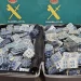 Hombre llegó a España desde RD con 20 mil pastillas de viagra