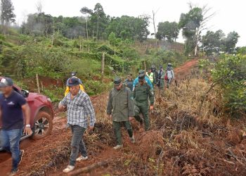 SENPA, Medio Ambiente y MIDE plantan 5,000 árboles en el parque nacional montaña humeadora, provincia Monseñor Nouel