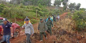 SENPA, Medio Ambiente y MIDE plantan 5,000 árboles en el parque nacional montaña humeadora, provincia Monseñor Nouel