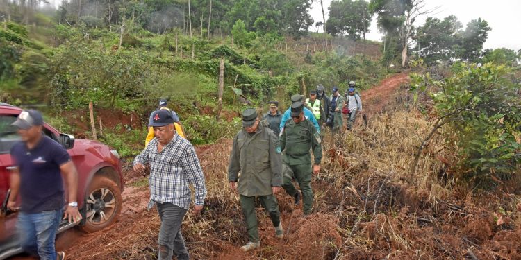 SENPA, Medio Ambiente y MIDE plantan 5,000 árboles en el parque nacional montaña humeadora, provincia Monseñor Nouel
