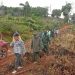 SENPA, Medio Ambiente y MIDE plantan 5,000 árboles en el parque nacional montaña humeadora, provincia Monseñor Nouel
