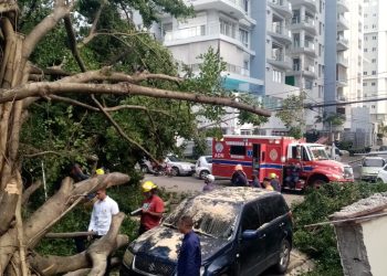 Bomberos DN trabajan para retirar árbol caído en calle El Retiro