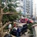 Bomberos DN trabajan para retirar árbol caído en calle El Retiro
