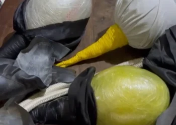 Policía Nacional incauta vejigas modificadas impropiamente con piedras y otros objetos en el Carnaval de Constanza