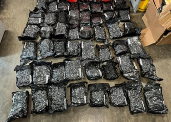 DNCD confisca en el AILA 57 paquetes de marihuana