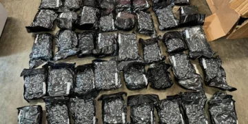 DNCD confisca en el AILA 57 paquetes de marihuana