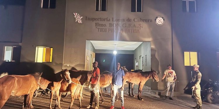 Ejército recupera ganado y decomisa cigarrillos de contrabando durante operativos en Dajabón y Elías Piña