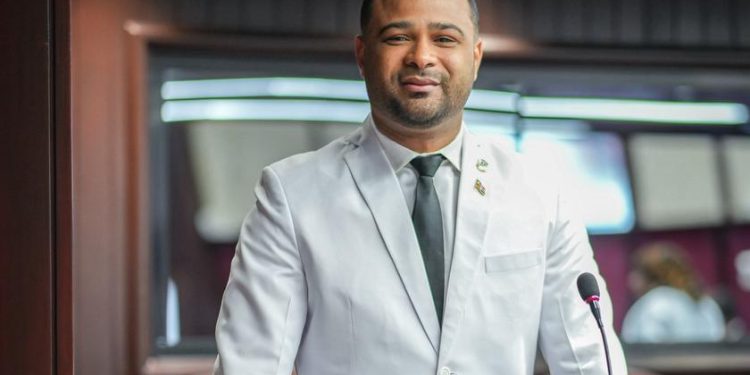Diputado Otoniel Tejeda asegura Wellington Arnaud representa la mayor fuerza política en la región sur del país