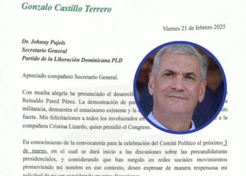 Gonzalo Castillo pide no ser considerado candidato presidencial del PLD