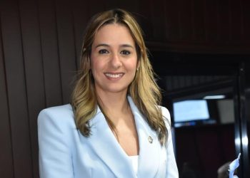 Diputada Liz Mieses Propone Modificar Ley Para Combatir Ciberdelitos Relacionados Con Inteligencia Artificial