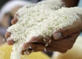 ADOFA garantiza estabilidad en precio del arroz y asegura  suministro