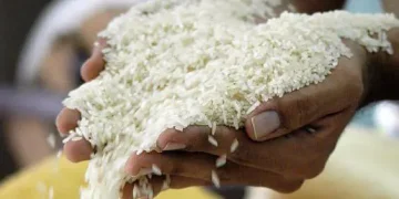 ADOFA garantiza estabilidad en precio del arroz y asegura  suministro