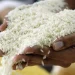 ADOFA garantiza estabilidad en precio del arroz y asegura  suministro