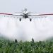 Agricultura suspenderá compañías de avionetas fumigadoras que violen las normas