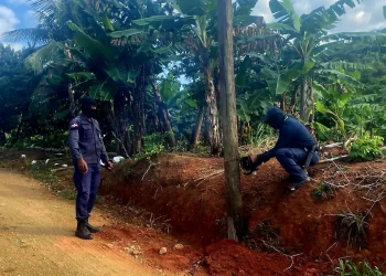SENPA realiza operativo en Parque Nacional Los Siete Picos