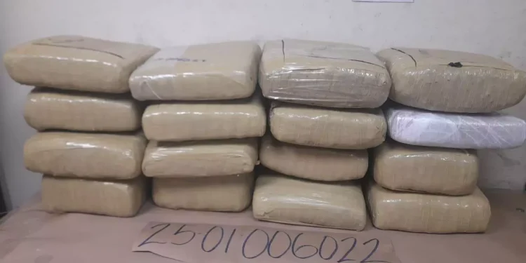 Confiscan 16 paquetes de marihuana y apresan ocho hombres