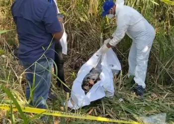 Encuentran cadáver presumiblemente de taxista desaparecido